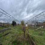 Satılır Torpaq, Buzovna, Xəzər rayonu 2