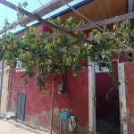 Kirayə (aylıq) 3 otaqlı Həyət evi/villa Xırdalan 1