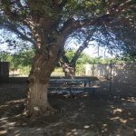 Kirayə (aylıq) 5 otaqlı Bağ evi, Ceyranbatan qəs., Abşeron rayonu 9