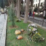 Satılır 1 otaqlı Yeni Tikili Xırdalan 7