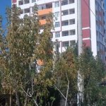 Продажа 2 комнат Новостройка, Масазыр, Абшерон район 4