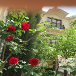 Satılır 15 otaqlı Həyət evi/villa, Badamdar qəs., Səbail rayonu 8