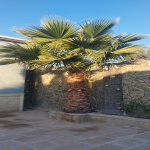 Satılır 4 otaqlı Həyət evi/villa, Lökbatan qəs., Sədərək ticarət mərkəzi, Qaradağ rayonu 15