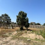 Satılır Torpaq, Mərdəkan, Xəzər rayonu 3