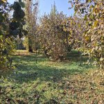 Satılır Torpaq Qəbələ 4