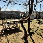 Satılır 7 otaqlı Bağ evi, Şüvəlan, Xəzər rayonu 7