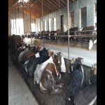 Продажа Объект Хачмаз 52