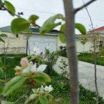 Satılır 4 otaqlı Həyət evi/villa, Məhəmmədli, Abşeron rayonu 5