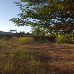 Satılır Torpaq, Abşeron rayonu 6