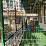 Kirayə (aylıq) 2 otaqlı Yeni Tikili, Nəriman Nərimanov metrosu, ADA universiteti, Nərimanov rayonu 14