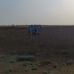 Satılır Torpaq, Saray, Abşeron rayonu 4