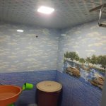 Satılır 8 otaqlı Həyət evi/villa Şamaxı 10