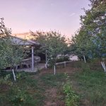 Kirayə (günlük) 4 otaqlı Həyət evi/villa İsmayıllı 6
