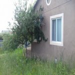 Kirayə (günlük) 2 otaqlı Bağ evi İsmayıllı 17