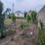 Satılır Torpaq, Novxanı, Abşeron rayonu 6