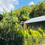 Kirayə (günlük) 3 otaqlı Həyət evi/villa Şəki 15