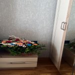 Kirayə (aylıq) 2 otaqlı Yeni Tikili, Azadlıq metrosu, Binəqədi rayonu 2