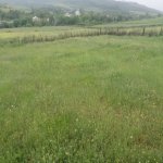 Satılır 4 otaqlı Həyət evi/villa İsmayıllı 13