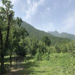 Kirayə (günlük) 5 otaqlı Həyət evi/villa Qəbələ 21