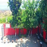 Kirayə (günlük) 1 otaqlı Həyət evi/villa Xaçmaz / Nabran 4