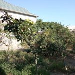 Satılır 3 otaqlı Həyət evi/villa, Hökməli, Abşeron rayonu 10