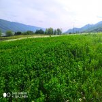 Satılır Torpaq Qusar 10