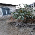 Satılır 2 otaqlı Bağ evi, Şağan, Xəzər rayonu 8