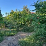 Kirayə (aylıq) 5 otaqlı Bağ evi, Neftçilər metrosu, Sabunçu rayonu 24