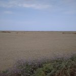 Satılır Torpaq, Nəriman Nərimanov metrosu, 20-ci sahə, Bayıl parkı, Səbail rayonu 2