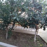 Satılır 3 otaqlı Həyət evi/villa Xırdalan 32