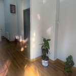 Kirayə (aylıq) 1 otaqlı Ofis, Nəsimi metrosu, 6-cı mikrorayon, Binəqədi rayonu 4