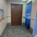 Kirayə (günlük) 10 otaqlı Həyət evi/villa, Əhmədli, Xətai rayonu 31