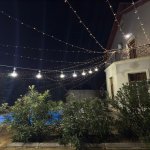 Kirayə (günlük) 6 otaqlı Bağ evi, Mərdəkan, Xəzər rayonu 31