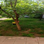 Kirayə (aylıq) 2 otaqlı Həyət evi/villa Xırdalan 9