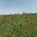 Продажа Участок Хачмаз 64