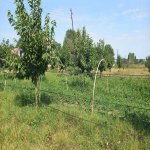 Satılır Torpaq Xaçmaz 11