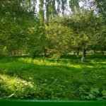 Kirayə (günlük) 4 otaqlı Həyət evi/villa Qusar 11