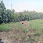 Satılır Torpaq, Savalan qəs., Sabunçu rayonu 2