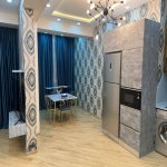 Kirayə (aylıq) 1 otaqlı Yeni Tikili, Gənclik metrosu, Nərimanov rayonu 4