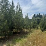 Satılır Torpaq, Şüvəlan, Xəzər rayonu 8