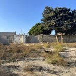 Продажа Участок, пос. Нардаран, Сабунчу район 5