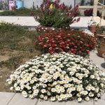 Satılır 7 otaqlı Həyət evi/villa, Kürdəxanı qəs., Sabunçu rayonu 23