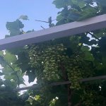 Satılır 5 otaqlı Həyət evi/villa, Maştağa qəs., Sabunçu rayonu 26