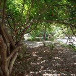 Satılır 5 otaqlı Həyət evi/villa, Avtovağzal metrosu, Biləcəri qəs., Binəqədi rayonu 4