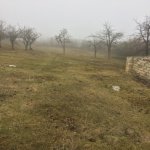 Satılır Torpaq Gədəbəy 3