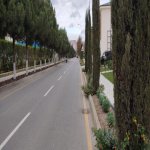 Kirayə (aylıq) 3 otaqlı Həyət evi/villa, Elmlər akademiyası metrosu, Yasamal rayonu 4
