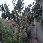 Satılır 5 otaqlı Həyət evi/villa, Koroğlu metrosu, Zabrat qəs., Sabunçu rayonu 31
