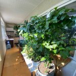 Продажа 4 комнатная Вторичка, м. Халглар Достлугу метро, Низаминский р-н район 16