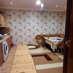 Satılır 5 otaqlı Həyət evi/villa, Buzovna, Xəzər rayonu 4