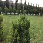 Satılır 4 otaqlı Həyət evi/villa, Buzovna, Xəzər rayonu 2